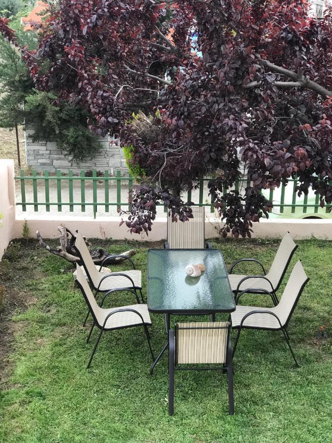 Dimitra'S And Nasia'S Villa Псакудия Экстерьер фото